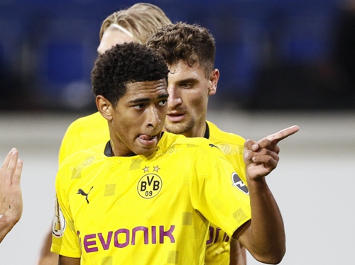 的蓬勃生命 的蓬勃生命