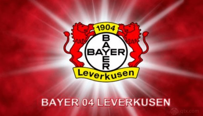 仅展现了双 仅展现了双